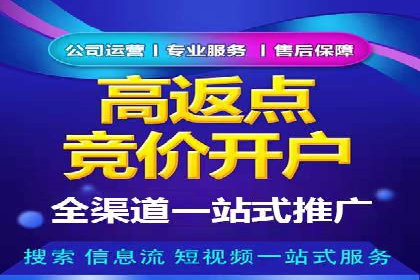 成功案例：一家SEM外包公司的成长与蜕变